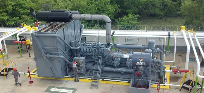 Rigor, disciplina y excelencia