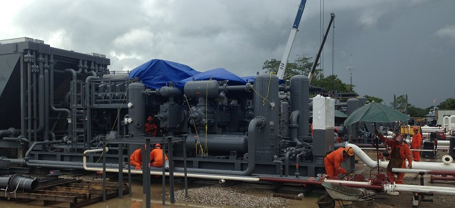 Rigor, disciplina y excelencia